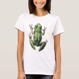 T-shirt Grenouille rampante