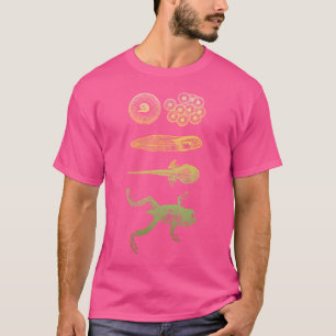 T-shirt Grenouille Tadpole Métamorphose Cycle de vie Biolo