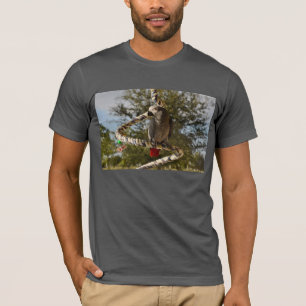 T-shirt Gris africain du Congo sur une oscillation
