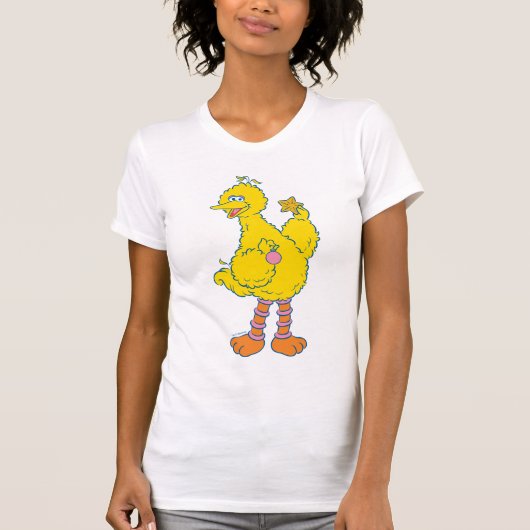 T-shirt Gros Oiseaux tenant des ornements de Noël (Devant)