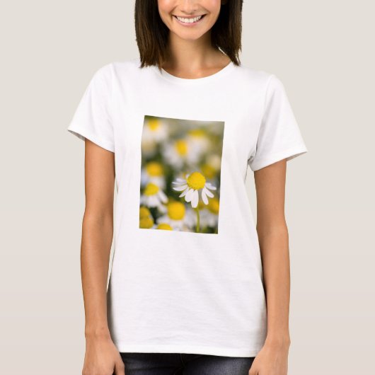 T-shirt Gros plan de la fleur chamomile, Hongrie (Devant)