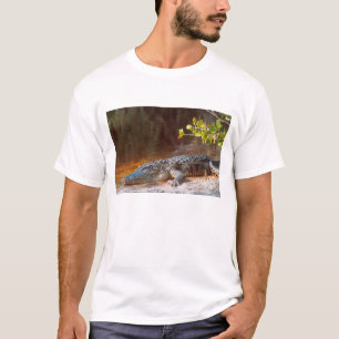 T-shirt Gros plan sur un alligator américain au J.N.