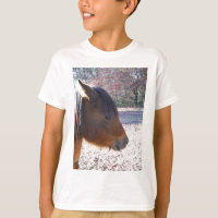 Gros plan sur un cheval brun, petit poney brun