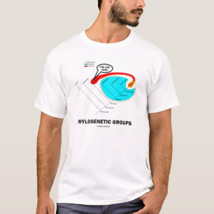 T-shirt Groupes phylogénétiques - vous êtes ici