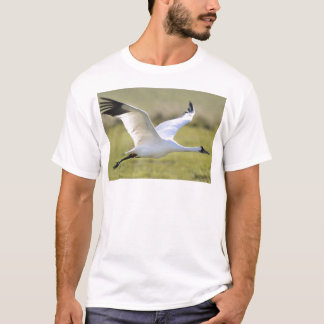 T-shirt Grue de huée (Grus americana)