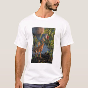 T-shirt Grue du Canada avec poussins, Floride