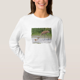 T-shirt Grues de Sandhill d'oiseau de mère et d'oiseau de
