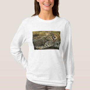 T-shirt Guépard, Acinonyx jubatus, avec son petit dans le