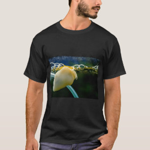 T-shirt Guppy bleu topaze