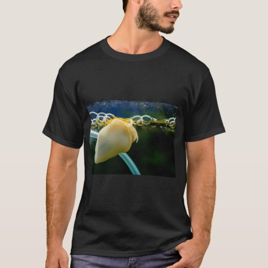 T-shirt Guppy bleu topaze (Devant)