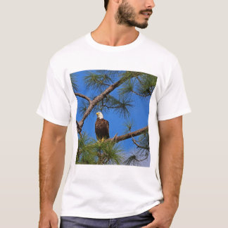 T-shirt Habillé pour tuer I