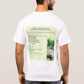 T-shirt Habillement de Central Park d'usage (Dos)