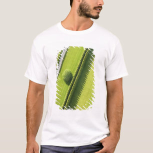 T-shirt Haie dans le Hamptons