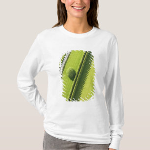 T-shirt Haie dans le Hamptons