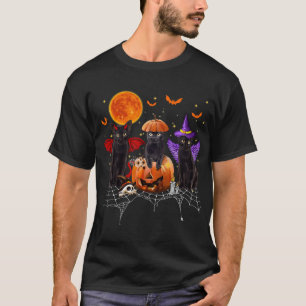 T-shirt Halloween Chat Noir, Chat Noir Assis Sur Citrouill