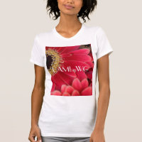 HAMbyWG - Faisceaux de Gerber rose