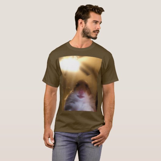 T-shirt Hamster Staring À Camera Meme (Devant entier)