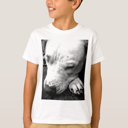T-shirt harry potier cicatrice chien blanc pit bull (Devant)