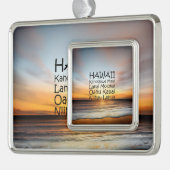 T-SHIRT Hawaii Verzilverd Kader Ornament (Links)