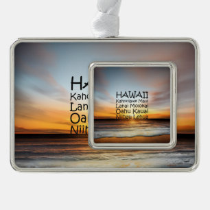 T-SHIRT Hawaii Verzilverd Kader Ornament