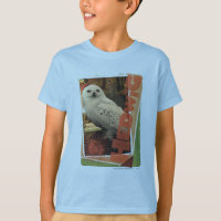Hedwig 1
