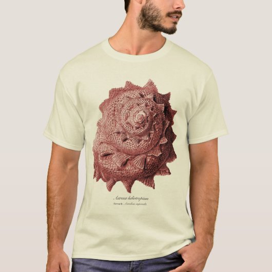 T-shirt Heliotropium d'Astraea (Devant)