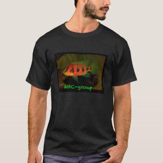 T-shirt Hémichromis elongatus