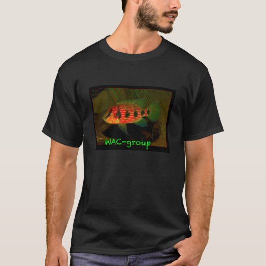 T-shirt Hémichromis elongatus (Devant)