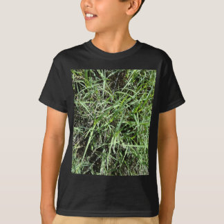 T-shirt Herbe
