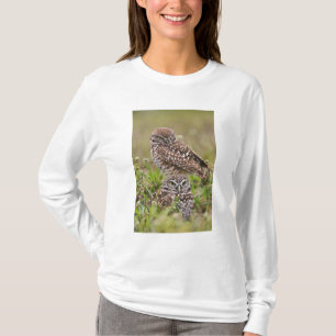T-shirt Hibou des terriers, Athene cunicularia, Cape Coral