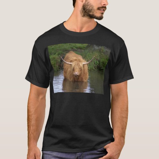 T-shirt Highland Cattle (Devant)