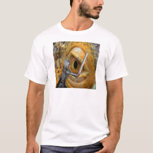 T-shirt Histoire de Dragon Folk