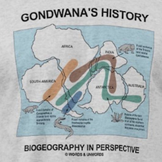 T-shirt Histoire de Gondwana Biogéographie en perspective