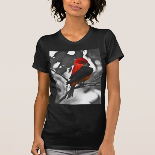 T-shirt Homme Scarlet Tanager (Devant)
