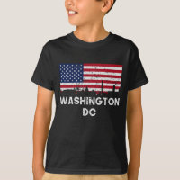 Horizon de drapeau américain de Washington DC