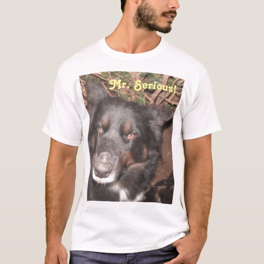 T-Shirt Husky Collie Cross (Devant)