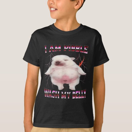 T-shirt I Am Bble Wash My Belly Funny Dog Meme  (Devant)