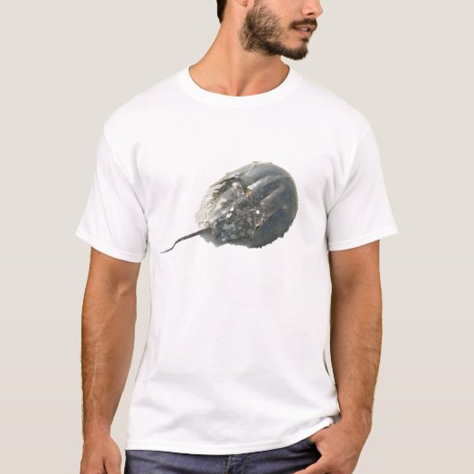 T-shirt IBSP Horseshoe Crab (Devant)
