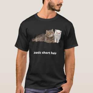 T-shirt Il Exotic Shorthair Chat Chat maman Chat papa