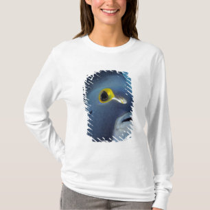 T-shirt Îles Caïmans, Poisson ange français Pomacanthus