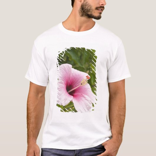 T-shirt Îles Cook, Atiu. Fleur d'hibiscus. (Devant)