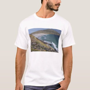 T-shirt Îles Falkland, Malouines occidentales, Saunders