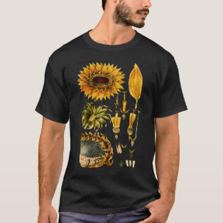 T-shirt Illustration Botanique De Tournesol 19E Siècle