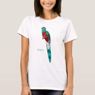 T-shirt illustration de dessin animé d'oiseau quetzal resp