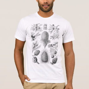 T-shirt Illustration de Haeckel Conifer