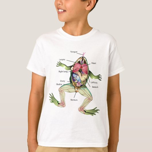 T-shirt Illustration de l'anatomie de la grenouille (Devant)