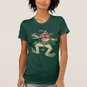 T-shirt Illustration de l'anatomie de la grenouille