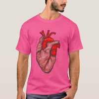 Illustration de l'anatomie Médicale Coeur humain A