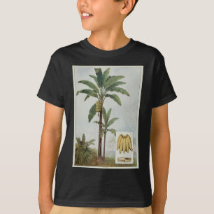 T-shirt Illustration de l'arbre bananier