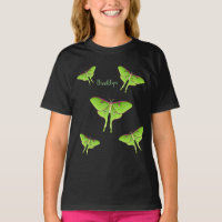 Illustration de Luna Moth
